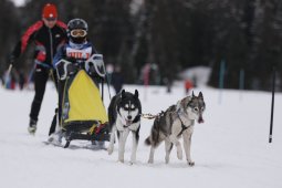 Lenzerheide 2013